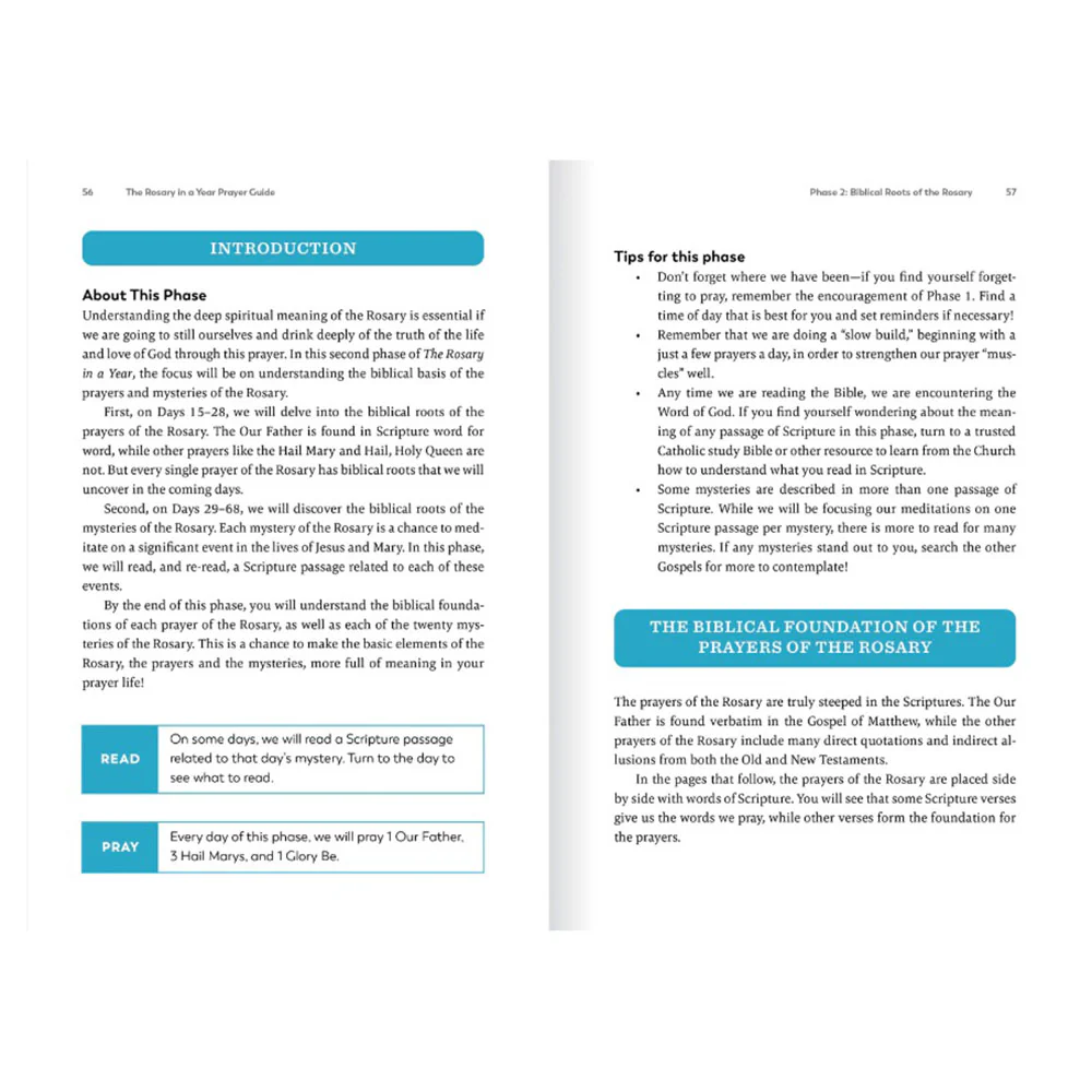 The Rosary in a Year Prayer Guide - Image 5